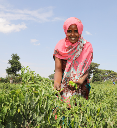 Complete gardening pack